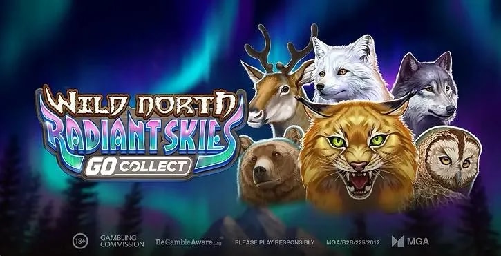 Play'n GO, 신작 'Wild North Radiant Skies GO Collect' 출시 — 세션 넘나드는 발자국 누적 메카닉 탑재