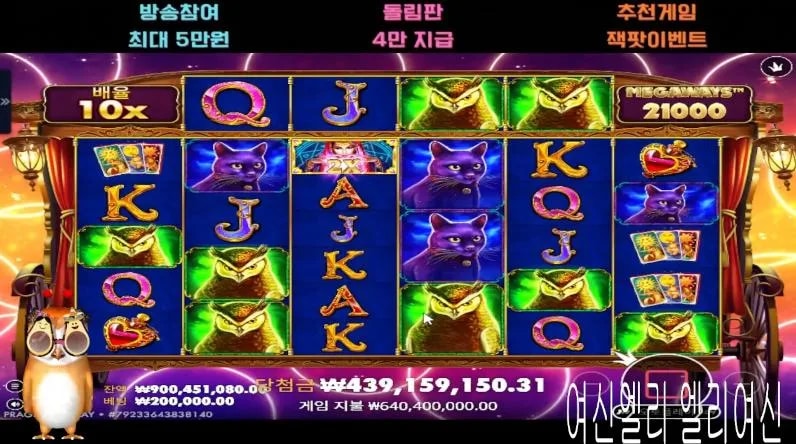 엘리 마담 메가웨이즈 내친구부엉이랑 합세!!!크로스