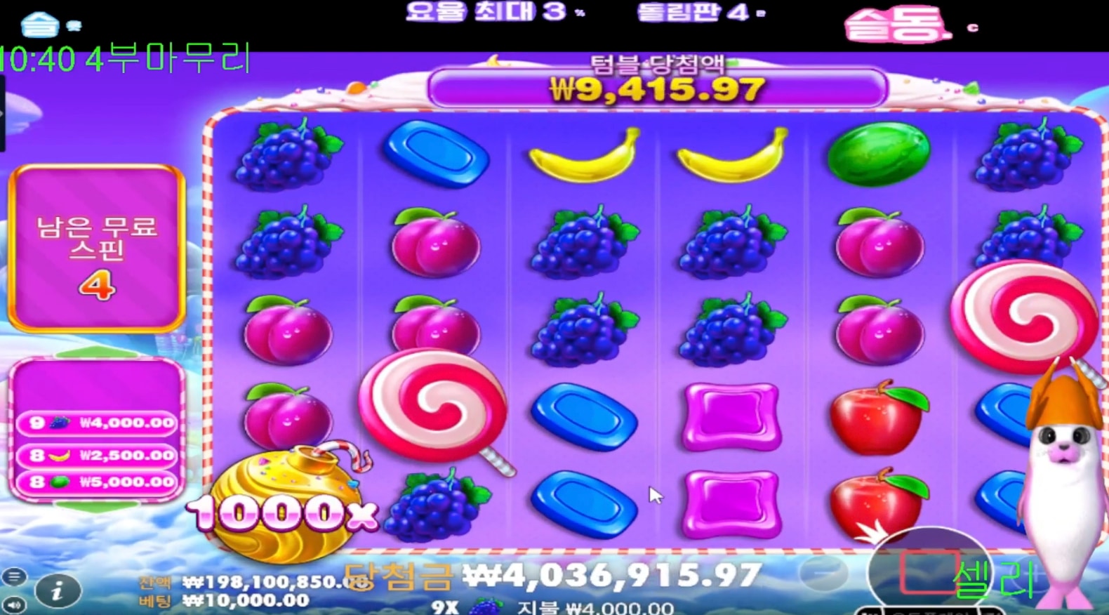 셀리 스보천 5500배 지렸다!!
