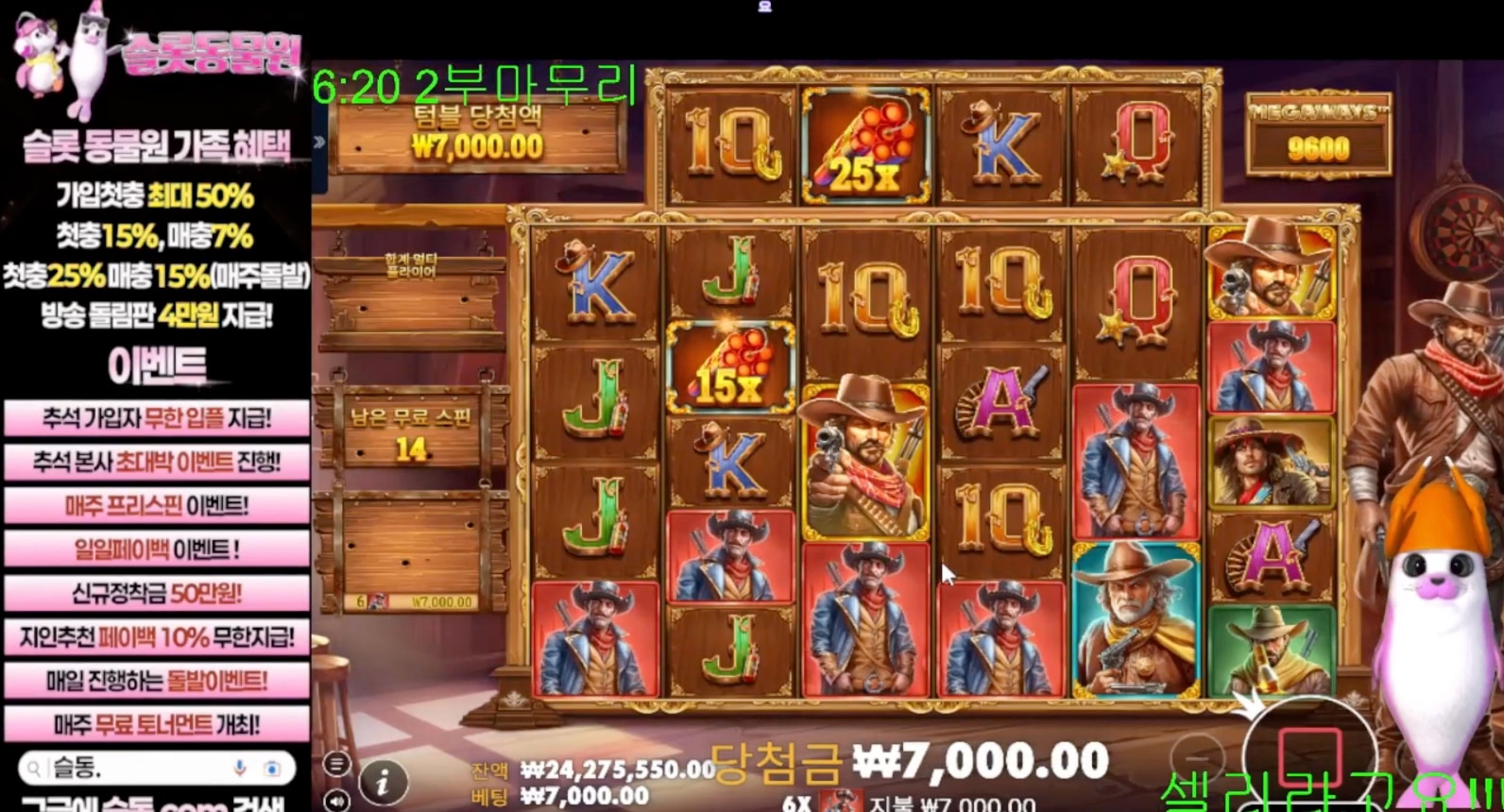 셀리 벤딧에서 맥스를 !!?