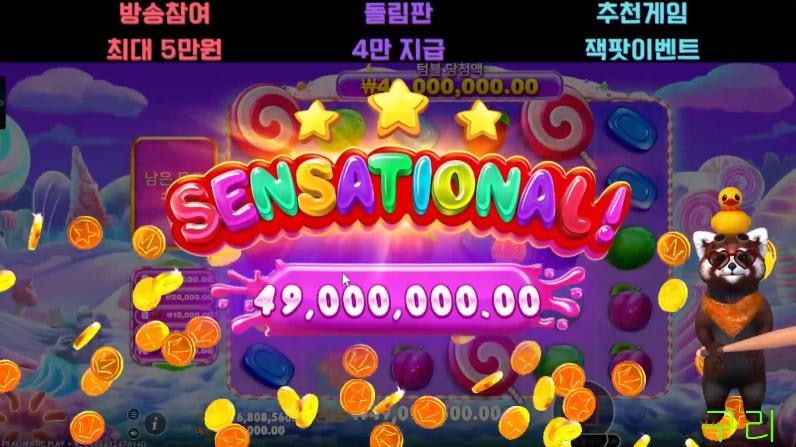 로켓 스위트 보난자 1000 이렇게 준다고??!!!! 응??