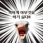 다운로드 3.jpeg