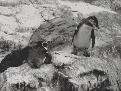 20130921_055150_1234266568.gif
