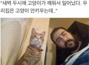 다운로드 5.jpeg