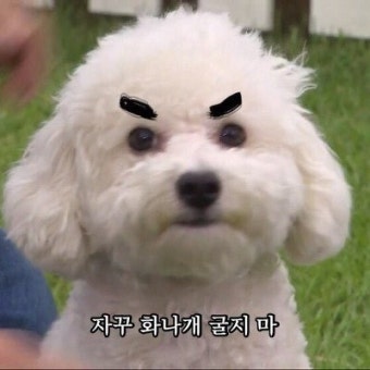 다운로드 1.jpeg