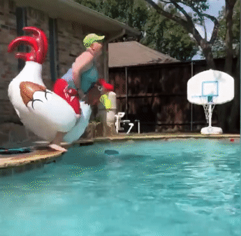 img.gif