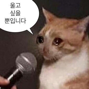 다운로드 1.jpeg