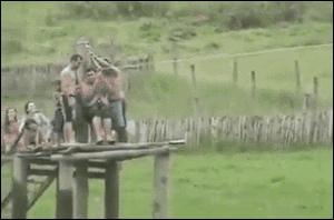 243B4538578592A835.gif