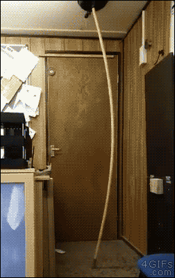 ec740ccaa866ca6460fa30b95a3224b2.gif