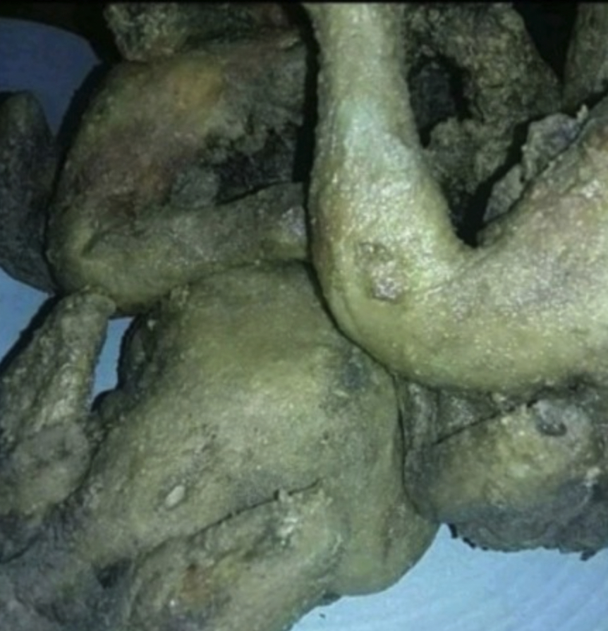 치킨사진.jpg