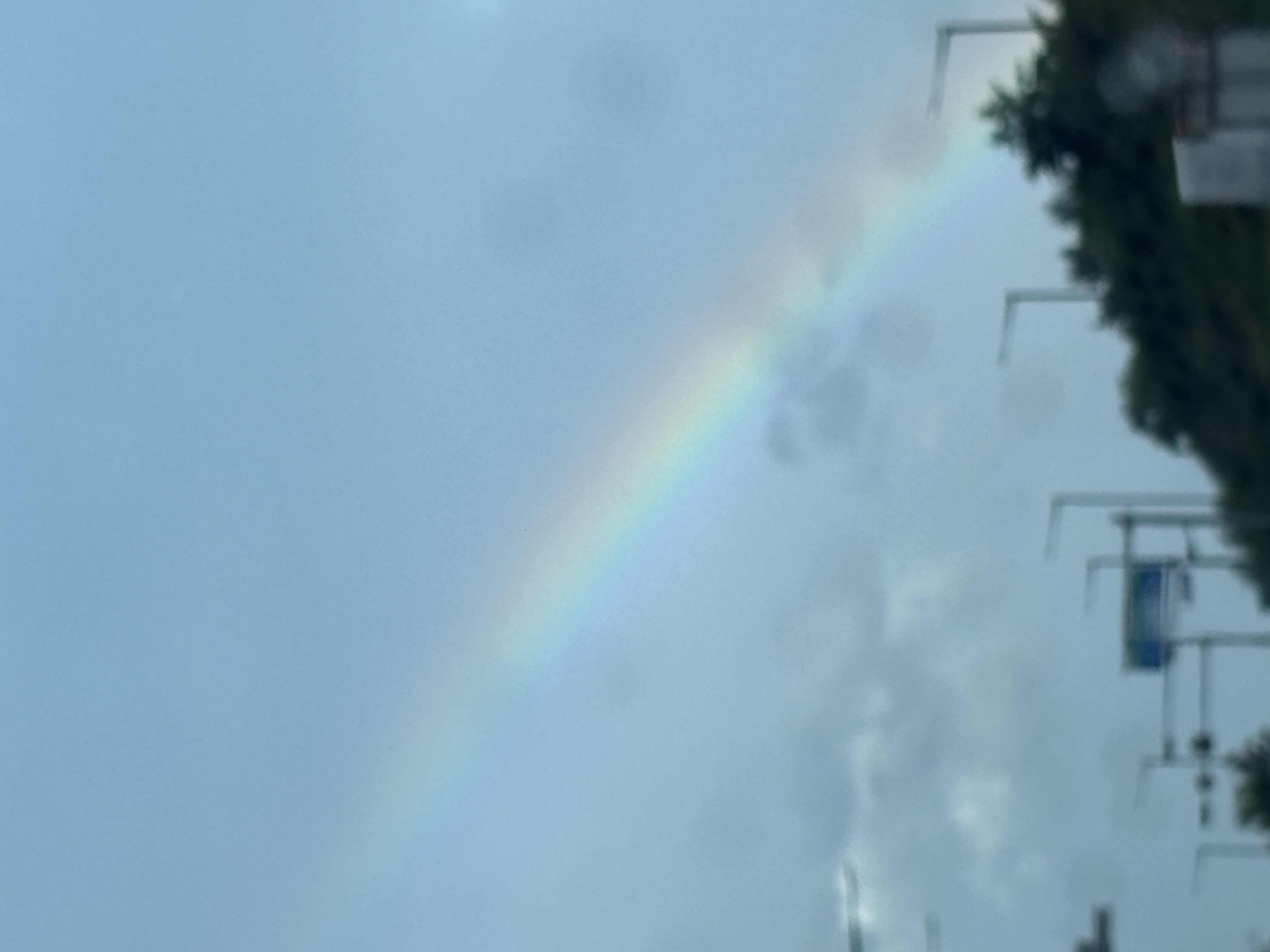 IMG_9664.jpeg