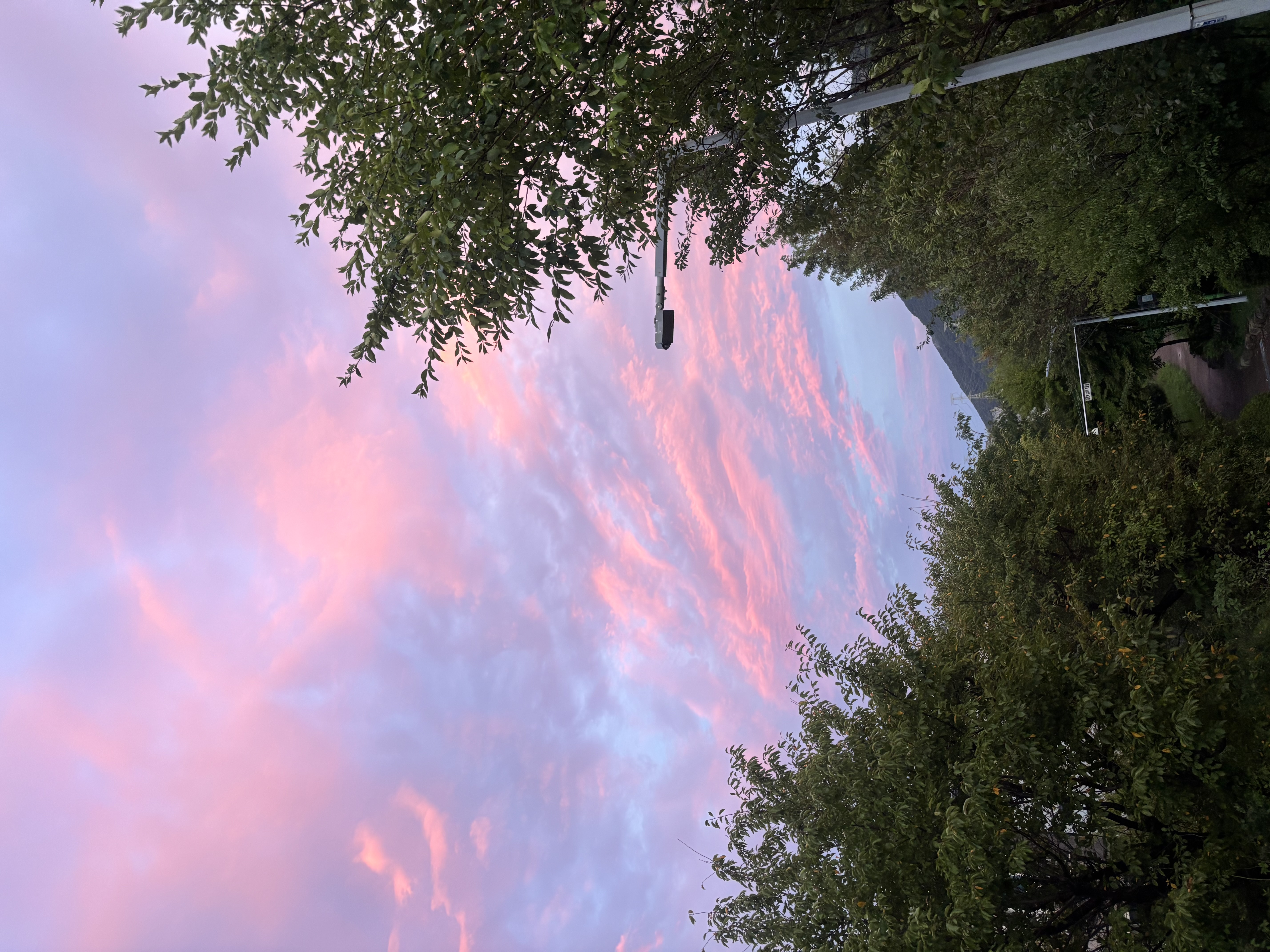 IMG_9672.jpeg