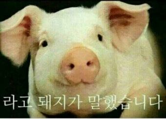 다운로드 3.jpeg