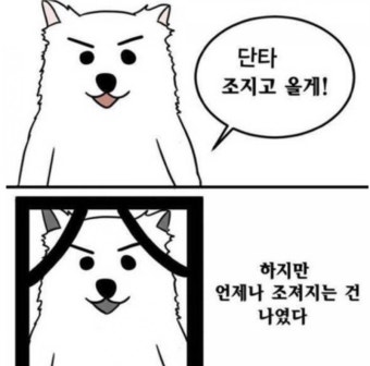 다운로드 10.jpeg