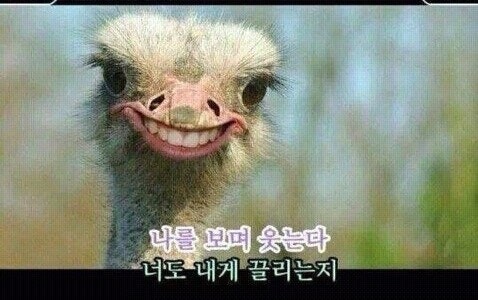 다운로드 3.jpeg