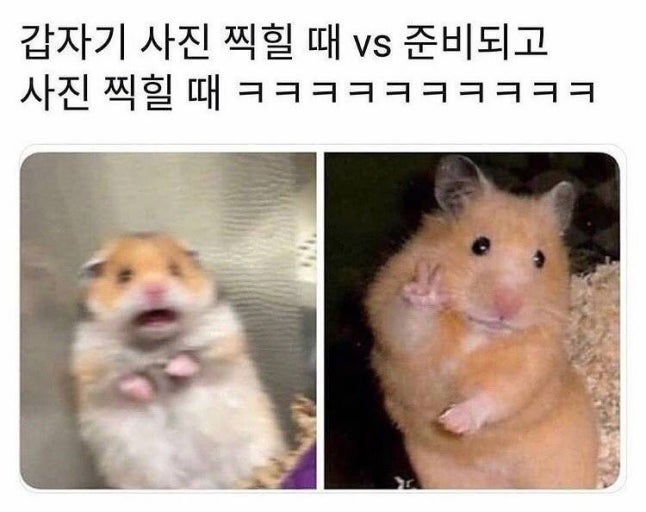 다운로드 4.jpeg