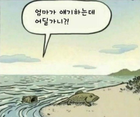 진화 시작.png