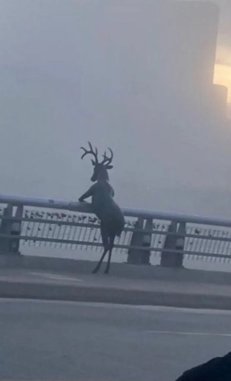무슨 고민일까.png