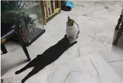 그림자.png