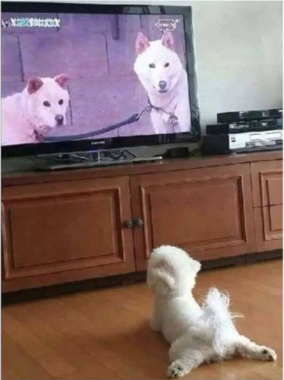 인강극장.png