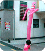 댄스.gif
