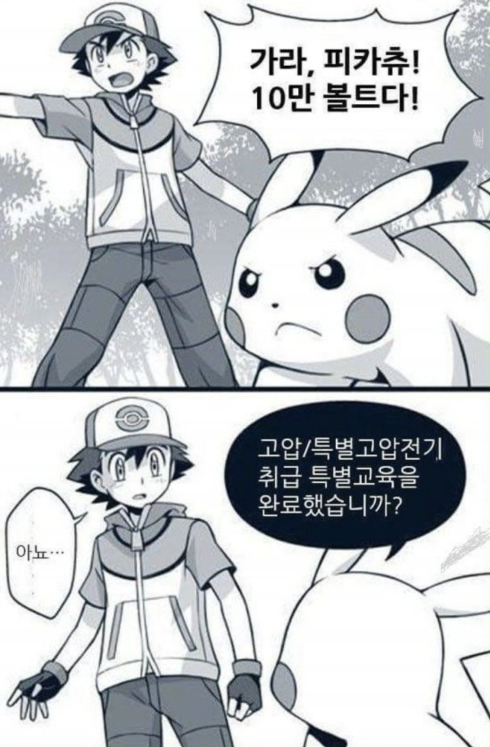 현실적인 포켓몬.png