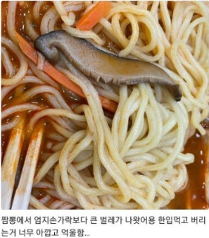 황당리뷰.png