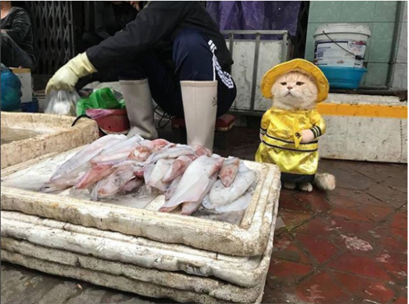 사장님.png