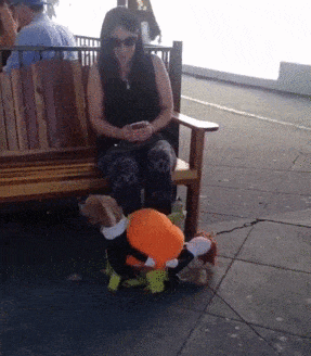 asdasd.gif