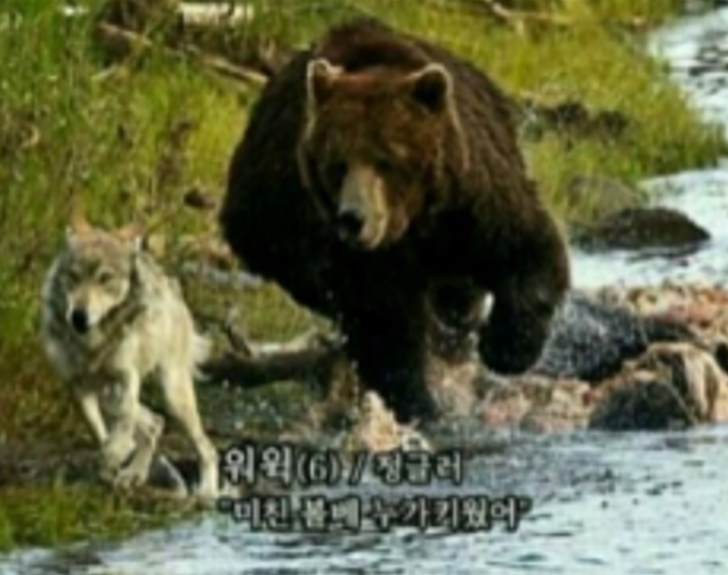 정글.png