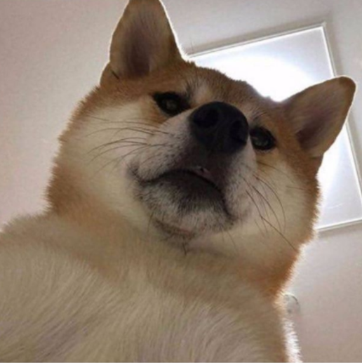 ㅈㅈㅈ.png