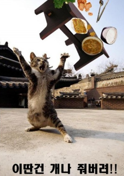 밥상.png