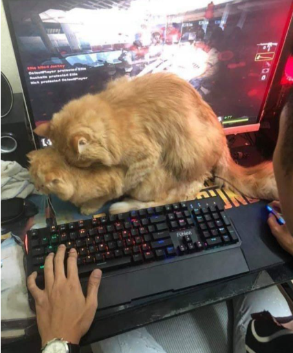 대놓고.png