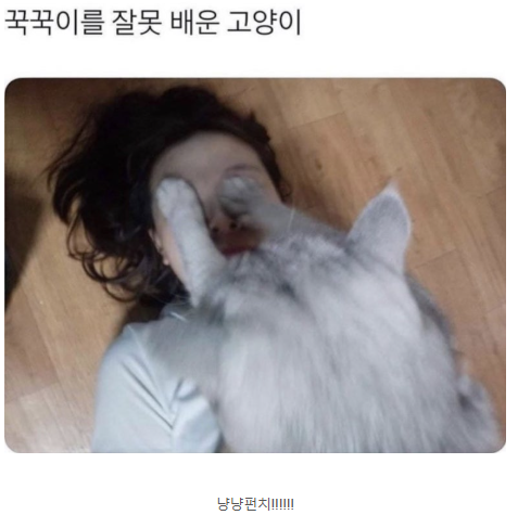 꾹꾹이.png