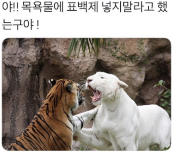 ㅇㅁㄴㅇ.png