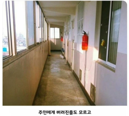 주인.png