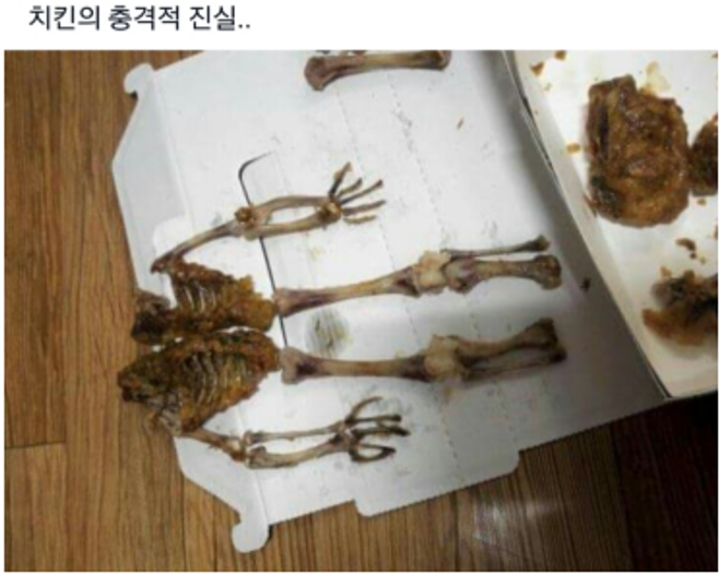 치킨의 진실.png