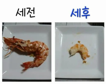 새우.png