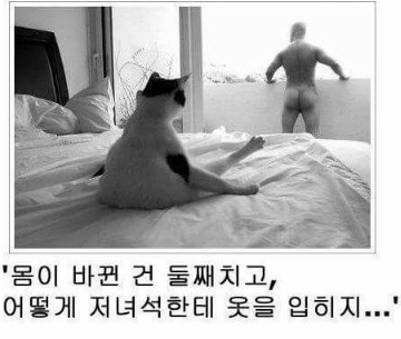 체인지.png