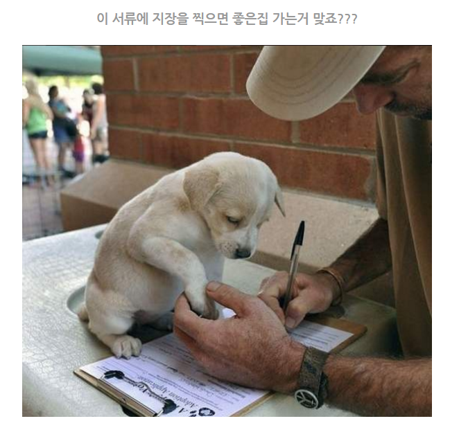 도장만.png