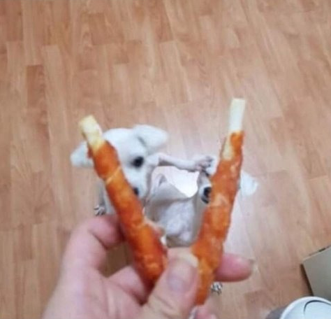 비켜봐.png
