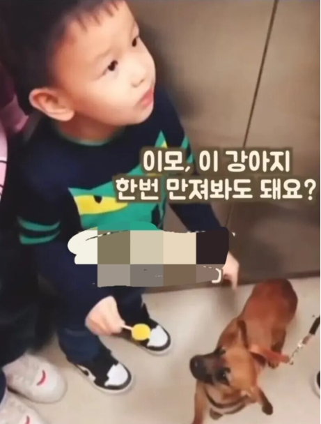 이모.png