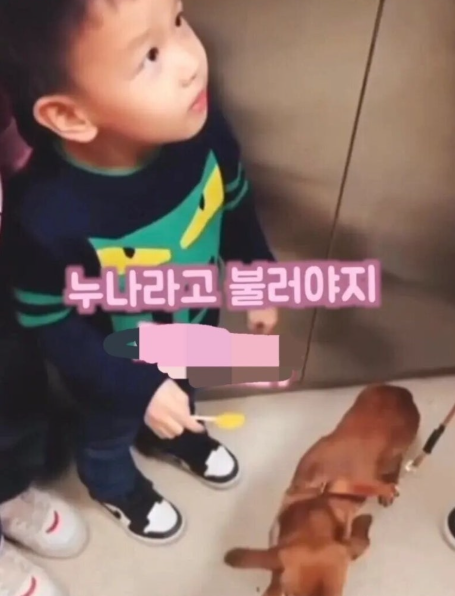 누나.png