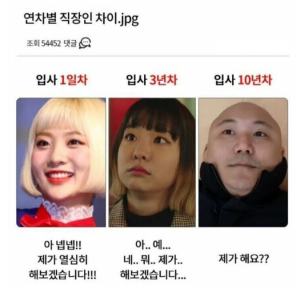 연차별 직장인 차이.png