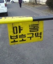 보호구역.png