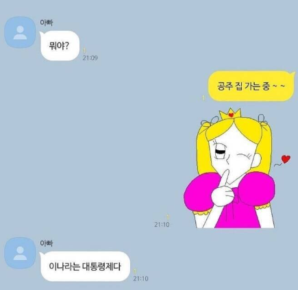 공주 집가는중.png