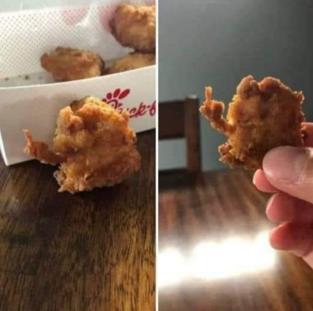치킨이 된 닭의 마지막 발악.png