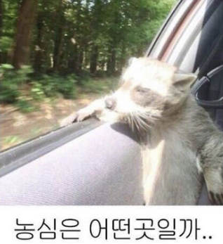 흠.png