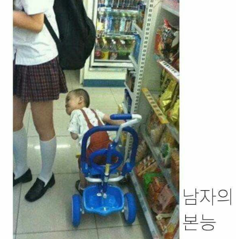 본능적으로.png