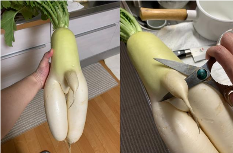 무.png